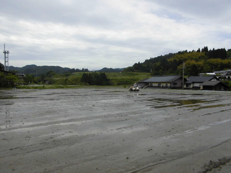 CIMG0014.JPG